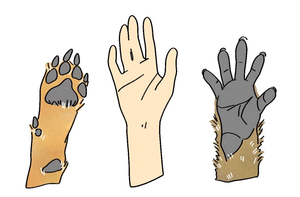 What makes us&nbsp;human